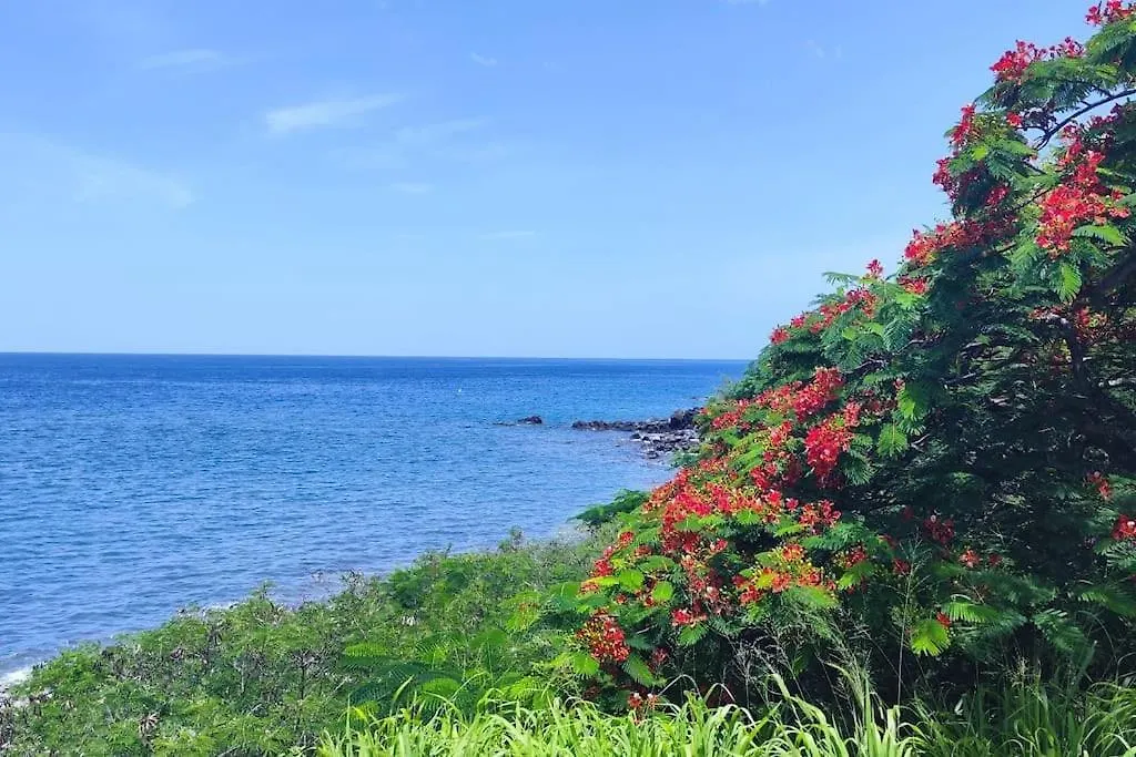 L'Herbe A Pic. Les Abymes 0*,  Guadeloupe